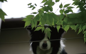 自然の心地よさが生かされた土地