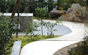 森の中で暮らすようなイメージで